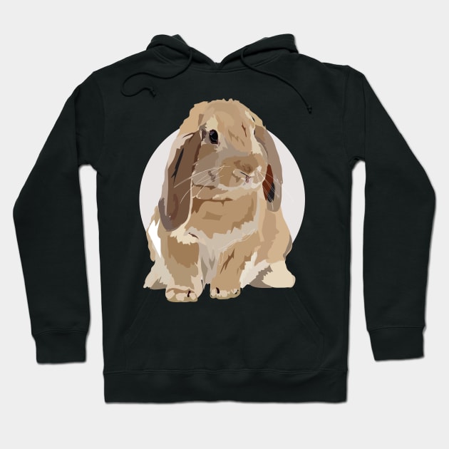 Flop - Bunny Hoodie by annamckay